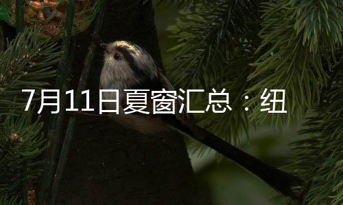 进入夏窗转会费前十