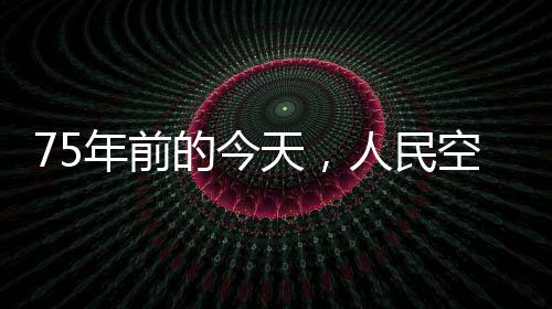 第13团装备伊尔-10强击机