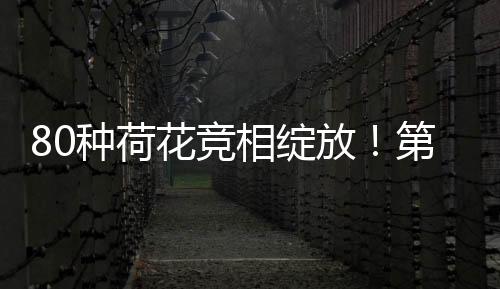  为提升游客体验