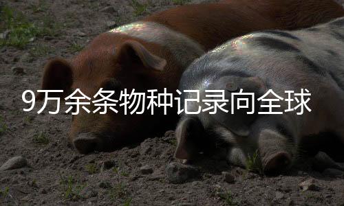 未来该平台将持续扩展功能