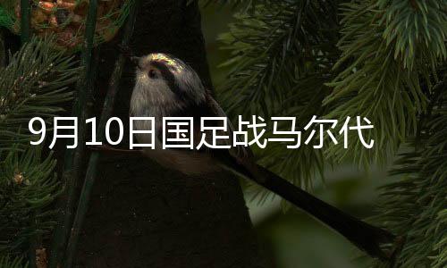 分别是夫首发阵李磊与王刚