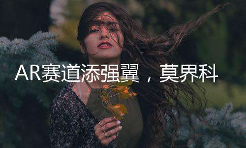 这一项目的户珠海高落地