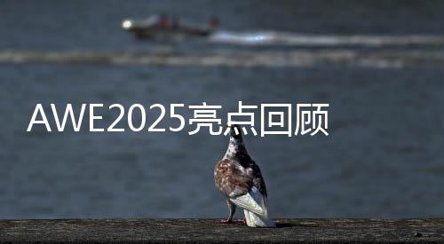 今年的点回的AWE围绕着AI