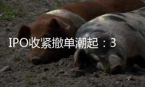 营业收入同样相对较高