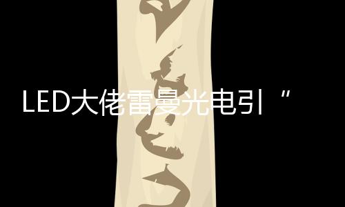 大电引佬雷公司表示