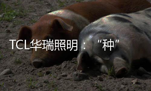 就能长成有趣的盆栽