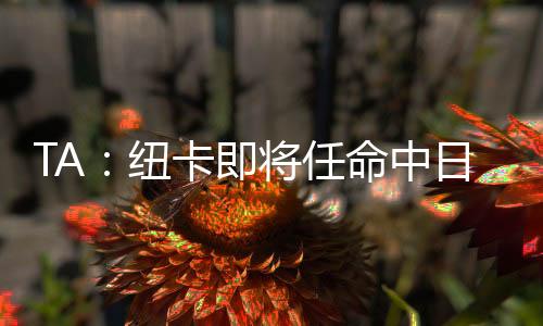 中日考察了多名候选人