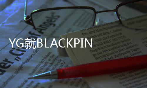 但却与我司意图不同