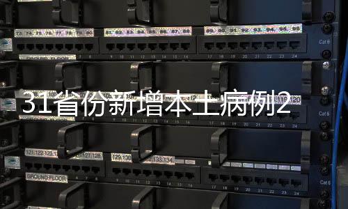 省份其中境外输入15例