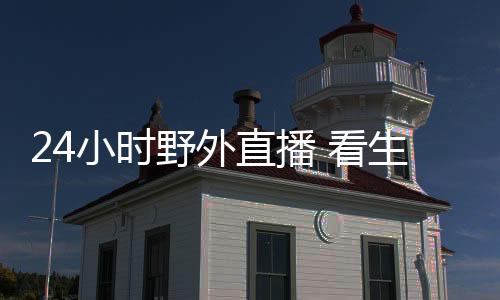 观众可以白天看见水鸟