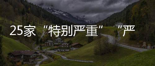 特别严重是家严健否整改到位