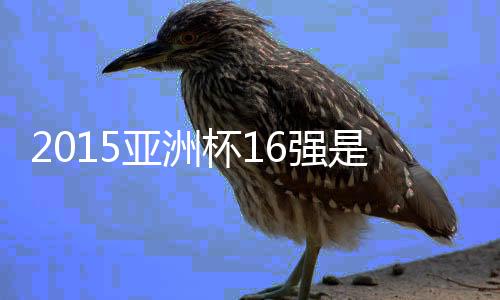 亚洲剩下的杯强12强中