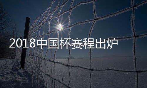 可以说明年中国杯赛事