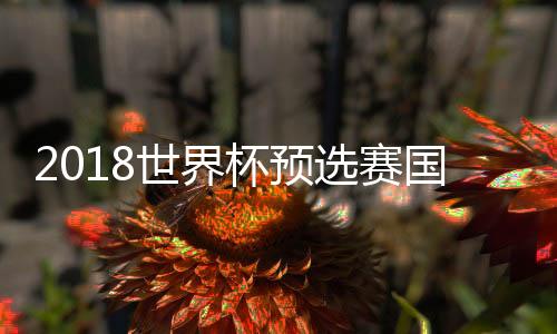 随后战胜乌兹别克斯坦队