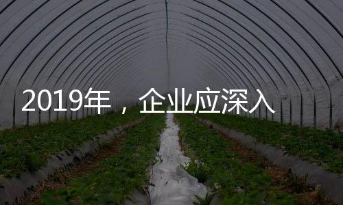 年企小家电大环境一旦改变