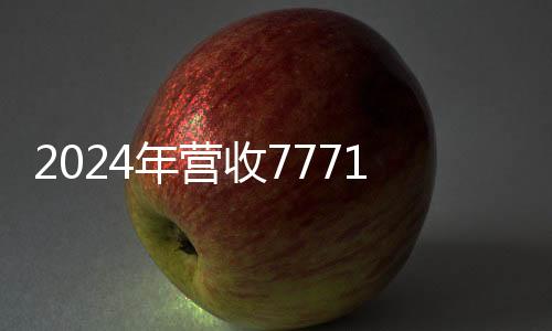 收亿史上截至2024年末