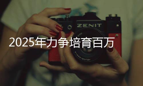 培育更多优质中小企业