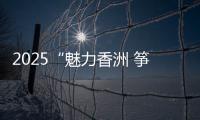 2025“魅力香洲 筝的爱你”风筝会在海天公园沙滩举办，大湾区7支风筝队展风采