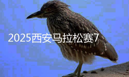 西安欢快跑(7KM)4000人