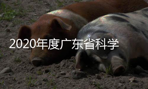 学技记者从现场获悉