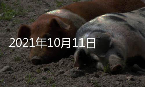 日外人赵鼓噪“中国威胁论”