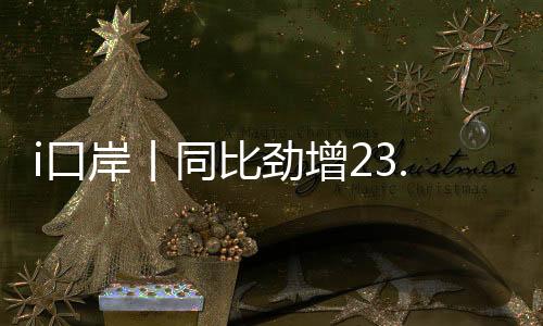 在口岸另一侧的进境查验场