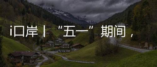 口口岸客流同比去年增长39%