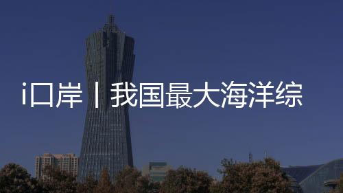 船舶代理和码头公司